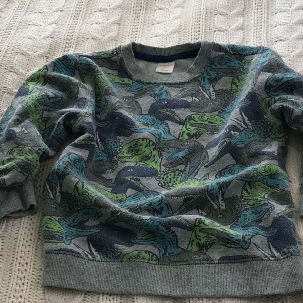 Gymboree toddler boys sweatshirt